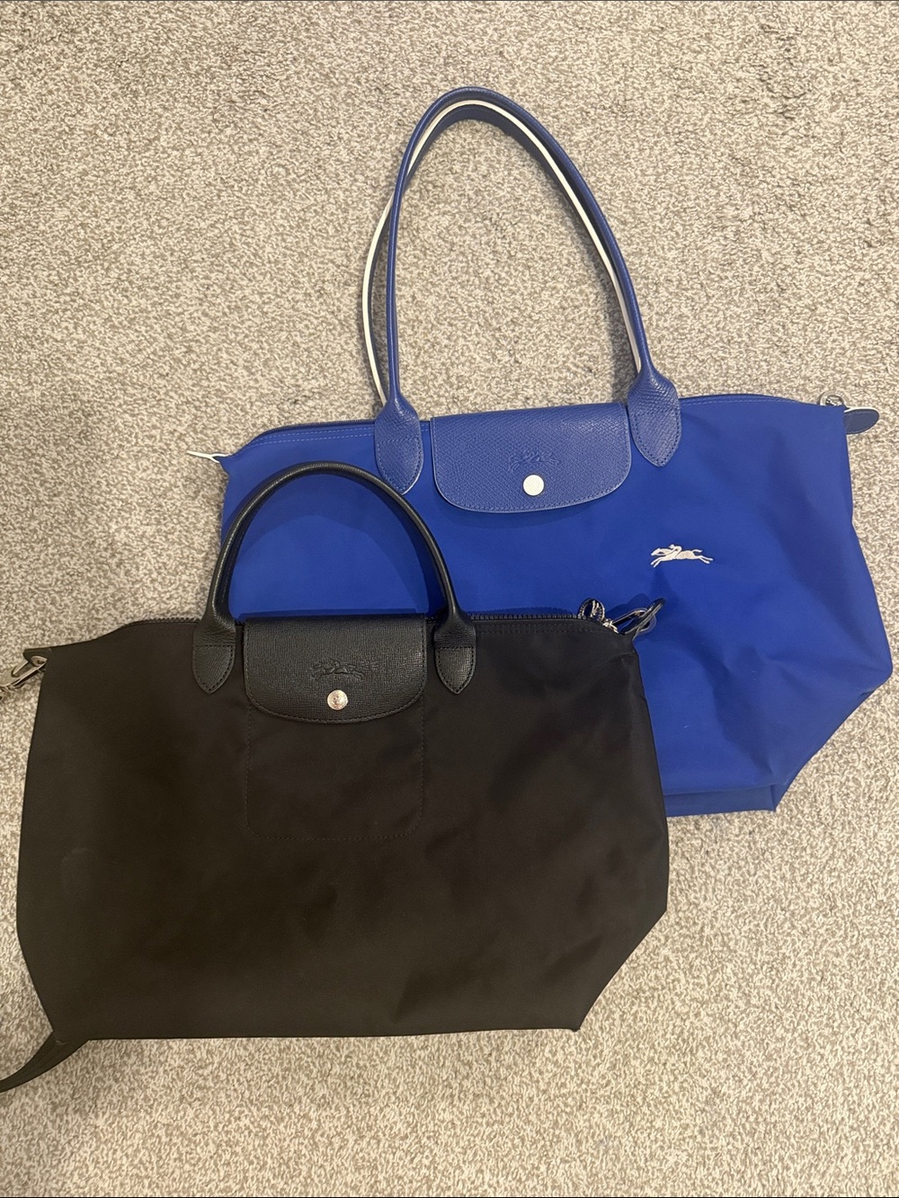TWO Longchamp Bags